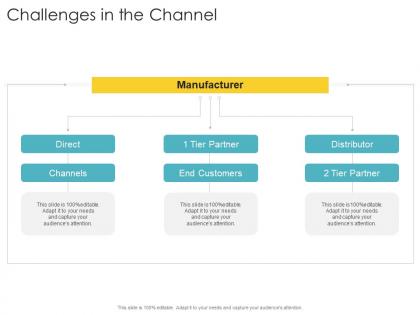 Challenges in the channel company strategies promotion tactics ppt powerpoint presentation model
