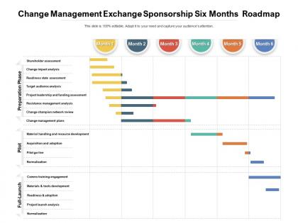 Change management exchange sponsorship six months roadmap