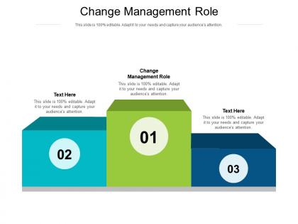 Change management role ppt powerpoint presentation styles file formats cpb