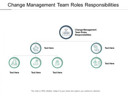 Change management team roles responsibilities ppt powerpoint presentation slides skills cpb