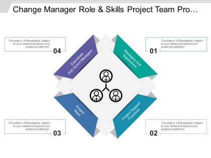 Change manager role and skills project team project support functions