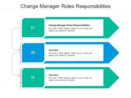 Change manager roles responsibilities ppt powerpoint presentation professional graphics example cpb