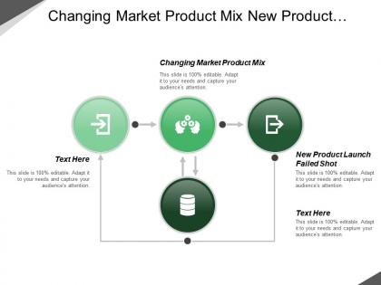 Changing market product mix new product launch failed shot