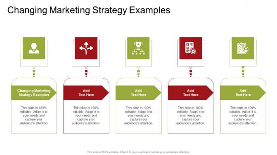 Changing Marketing Strategy Examples In Powerpoint And Google Slides Cpb