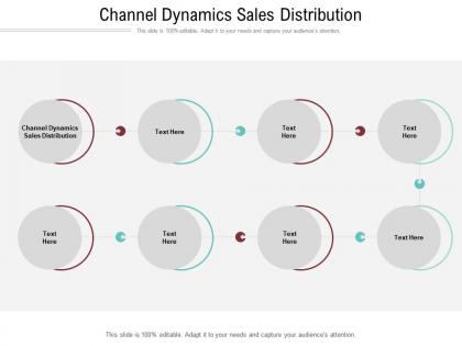 Channel dynamics sales distribution ppt powerpoint presentation slides gallery cpb