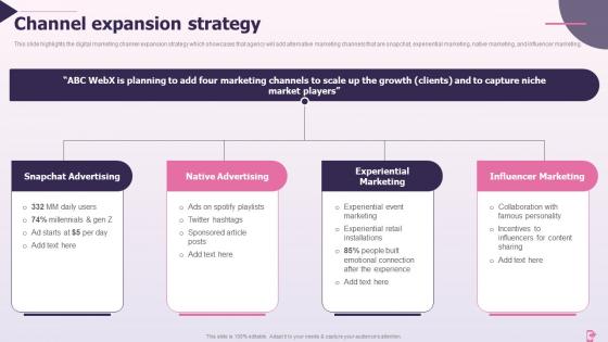 Channel Expansion Strategy Online Marketing Company Profile Ppt Infographics