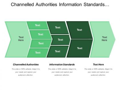 Channel led authorities information standards information governance investment strategic