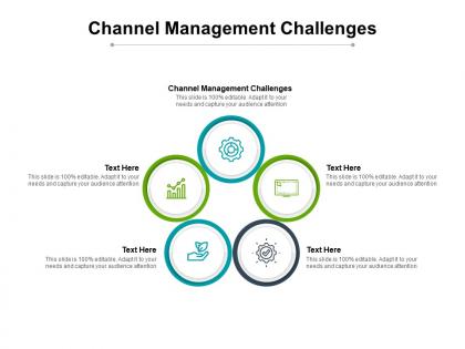 Channel management challenges ppt powerpoint presentation outline cpb