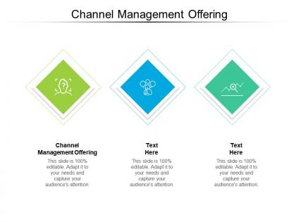 Channel management offering ppt powerpoint presentation outline files cpb