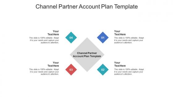 Channel partner account plan template ppt powerpoint presentation portfolio picture cpb