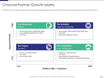 Channel partner growth matrix managing strategic partnerships