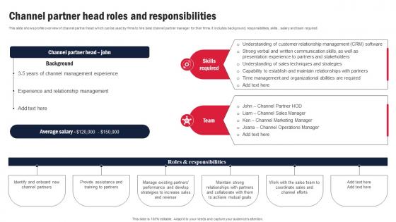 Channel Partner Head Roles And Responsibilities Channel Partner Program Strategy SS V