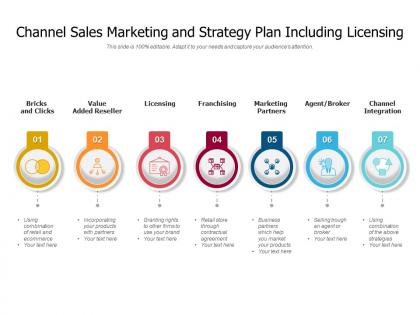 Channel sales marketing and strategy plan including licensing