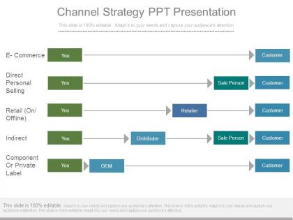 Channel strategy ppt presentation