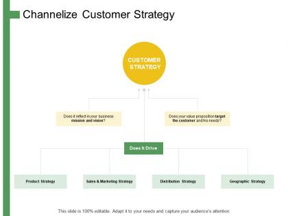 Channelize customer strategy ppt powerpoint presentation visual aids slides