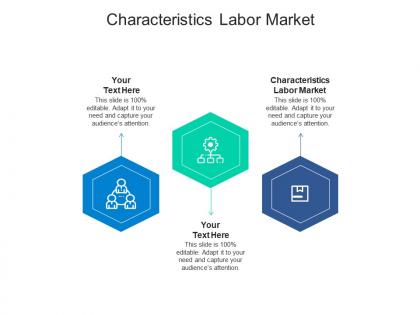 Characteristics labor market ppt powerpoint presentation gallery show cpb