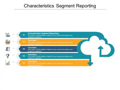 Characteristics segment reporting ppt powerpoint presentation icon graphics tutorials cpb