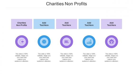 Charities Non Profits Ppt Powerpoint Presentation File Format Cpb