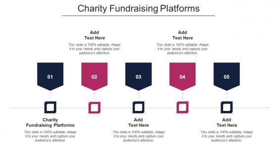Charity Fundraising Platforms Ppt Powerpoint Presentation Gallery Example Introduction Cpb