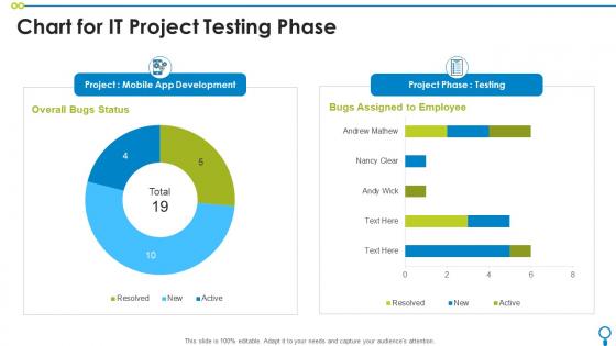 Chart For It Project Testing Phase