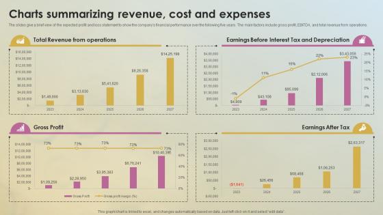 Charts Summarizing Revenue Cost Soap Business Plan BP SS