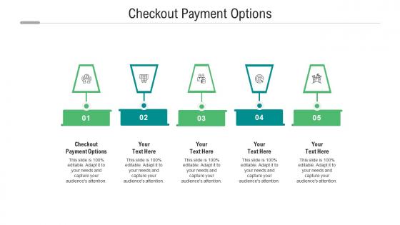 Checkout payment options ppt powerpoint presentation gallery example introduction cpb