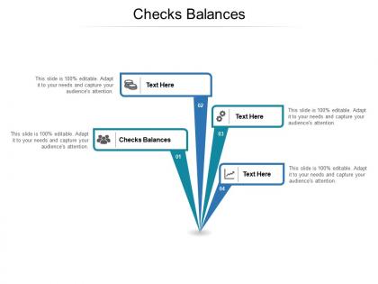 Checks balances ppt powerpoint presentation portfolio display cpb