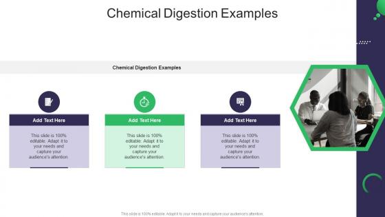 Chemical Digestion Examples In Powerpoint And Google Slides Cpb