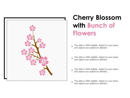 Cherry blossom with bunch of flowers