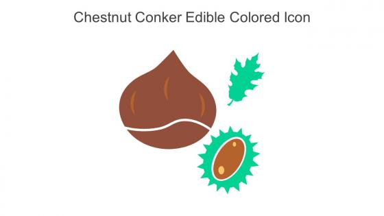 Chestnut Conker Edible Colored Icon In Powerpoint Pptx Png And Editable Eps Format