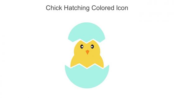 Chick Hatching Colored Icon In Powerpoint Pptx Png And Editable Eps Format