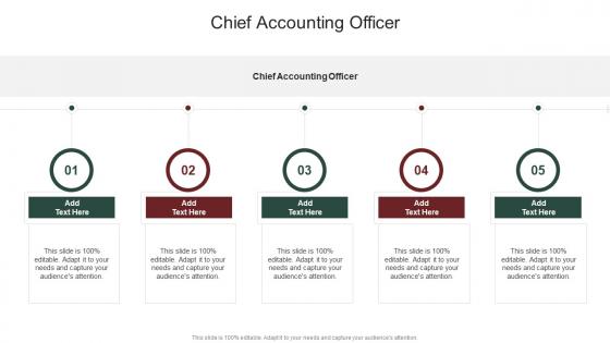 Chief Accounting Officer In Powerpoint And Google Slides Cpb