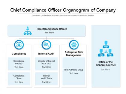 Chief compliance officer organogram of company