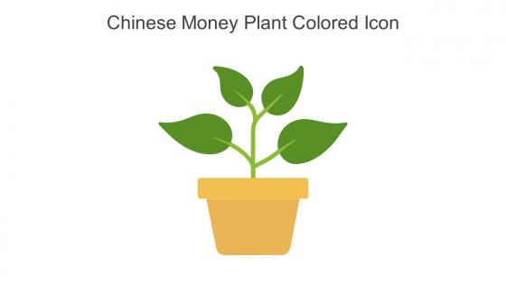 Chinese Money Plant Colored Icon In Powerpoint Pptx Png And Editable Eps Format