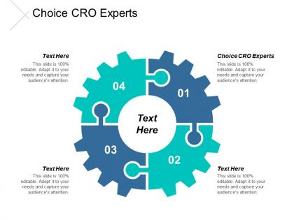Choice cro experts ppt powerpoint presentation infographics inspiration cpb