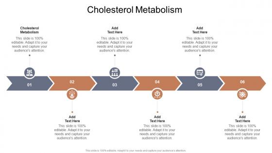 Cholesterol Metabolism In Powerpoint And Google Slides Cpb