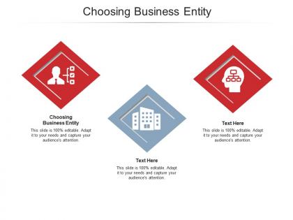 Choosing business entity ppt powerpoint presentation summary clipart images cpb