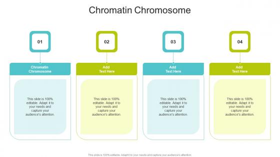 Chromatin Chromosome In Powerpoint And Google Slides Cpb