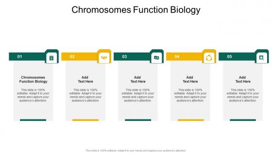 Chromosomes Function Biology In Powerpoint And Google Slides Cpb