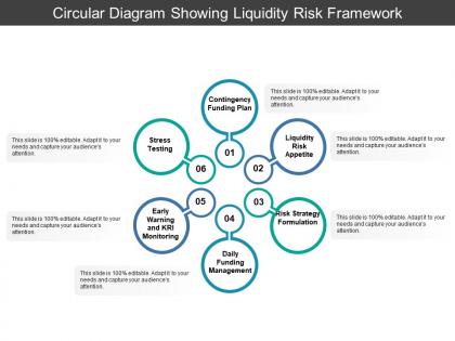 Circular diagram showing liquidity risk framework