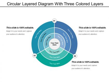 Circular layered diagram with three colored layers