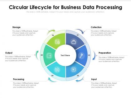 Circular lifecycle for business data processing