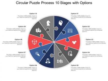 Circular puzzle process 10 stages with options