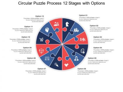 Circular puzzle process 12 stages with options
