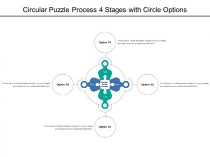 Circular puzzle process 4 stages with circle options