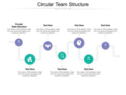 Circular team structure ppt powerpoint presentation microsoft cpb