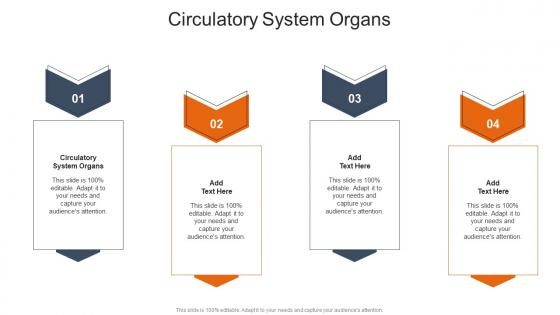 Circulatory System Organs In Powerpoint And Google Slides Cpb