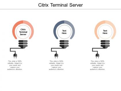 Citrix terminal server ppt powerpoint presentation infographics tips cpb