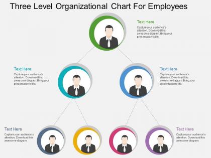 Cj three level organizational chart for employees flat powerpoint design