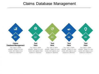 Claims database management ppt powerpoint presentation ideas brochure cpb